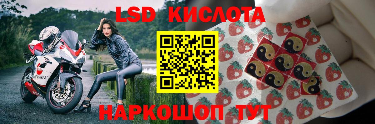 МЕФ Феодосия