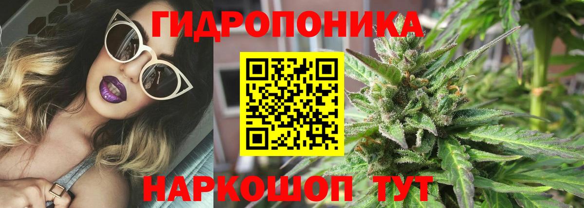 Бошки марихуана семена  Бошки марихуана семена  Марихуана семена  Феодосия  Вход с VPN  Шишки марихуана сатива 
